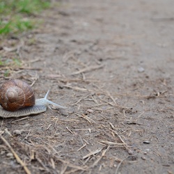 2018-04-14 Copenhagen/Utterslev Mose/DSC_0165.JPG